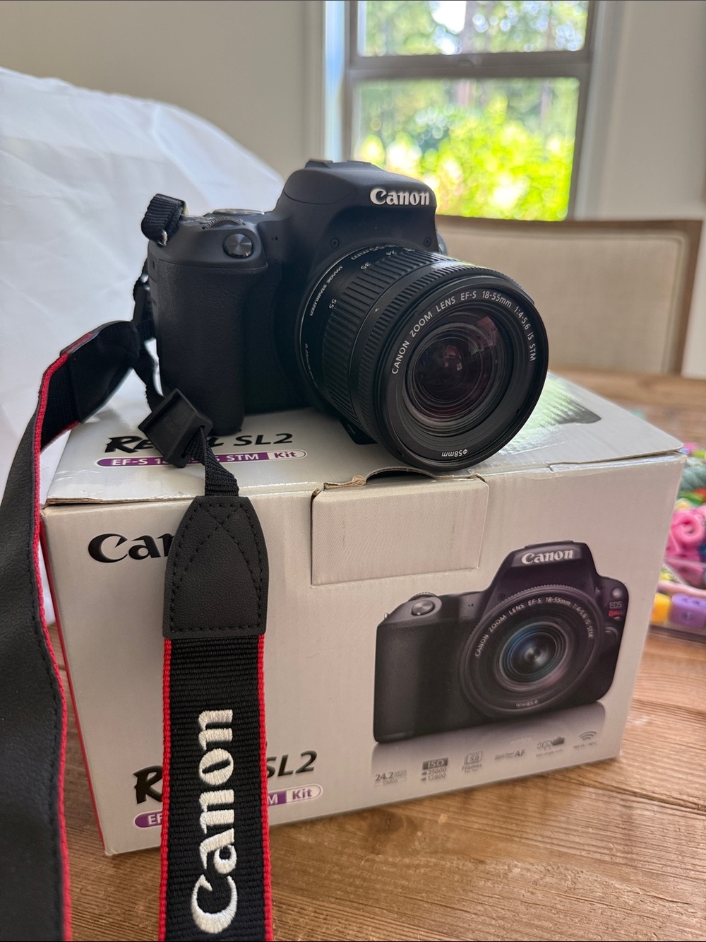 Canon EOS Rebel SL2 DSLR Camera Kit - plus 50 mm lens and travel case